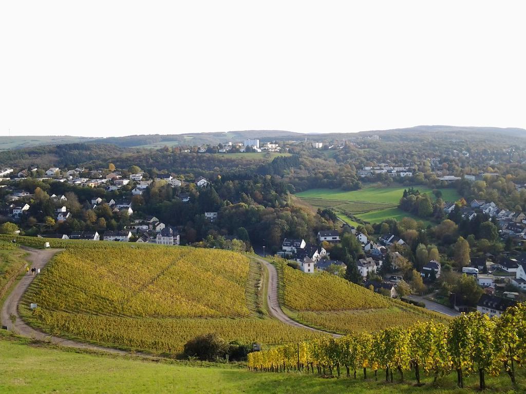 Saar-Mosel-Tal Διαμέρισμα Konz Εξωτερικό φωτογραφία